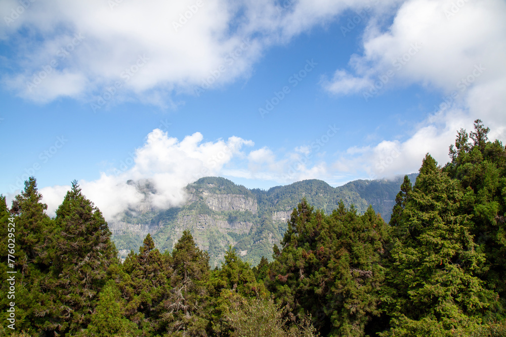 View of forest and mountain in national park in taiwan View of forest and mountain in national park in taiwan
