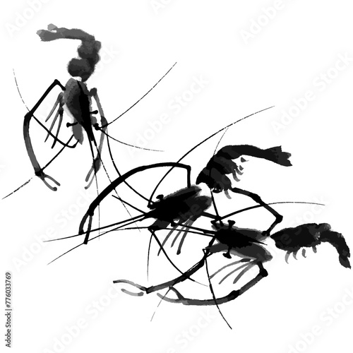 Vector watercolor illustration of shrimps. Gohua, traditional chinese ink and wash painting