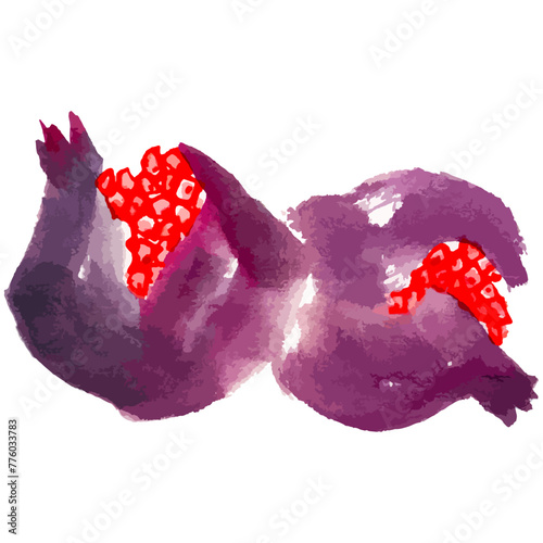 Vector watercolor illustration of pomegranate. Gohua, traditional chinese ink and wash painting