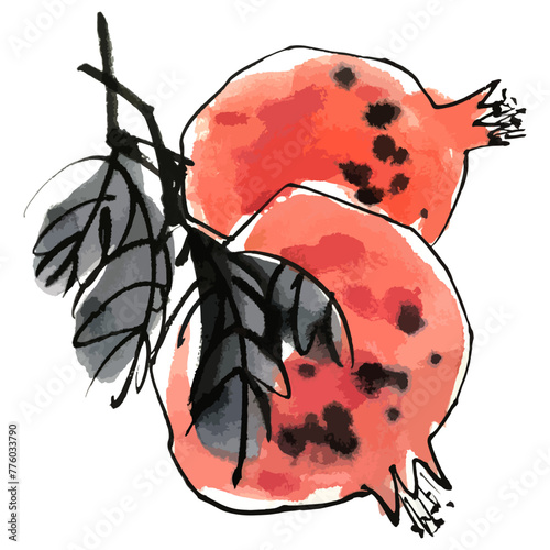 Vector watercolor illustration of pomegranate. Gohua, traditional chinese ink and wash painting