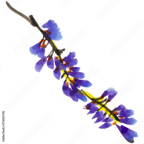 Vector watercolor illustration of wisteria flower. Gohua, traditional chinese ink and wash painting