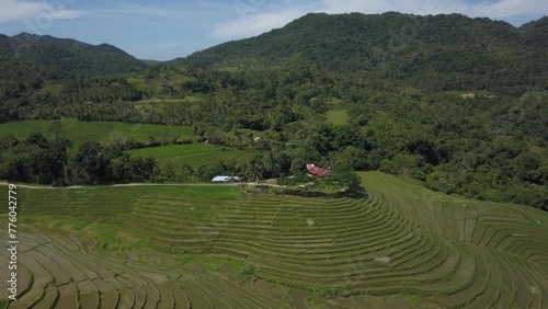 Aerial view of Cadapdapan Rice Terraces in Candijay, Bohol. Raw aerial footage. photo