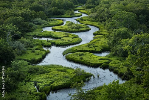 A river meanders through a dense green forest, surrounded by vibrant foliage and towering trees
