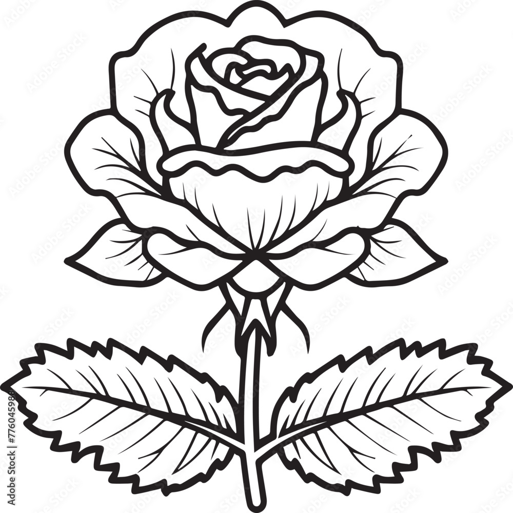 Obraz premium Rose coloring pages. Rose flower outline vector