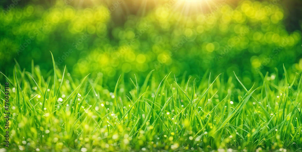 Blurred texture background with bokeh, out-of-focus blur, bright sunny summer green Blurred texture background with bokeh, out-of-focus blur, bright sunny summer green