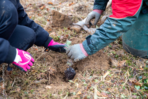 Enfant et adulte plantant des petits arbres dans une forêt