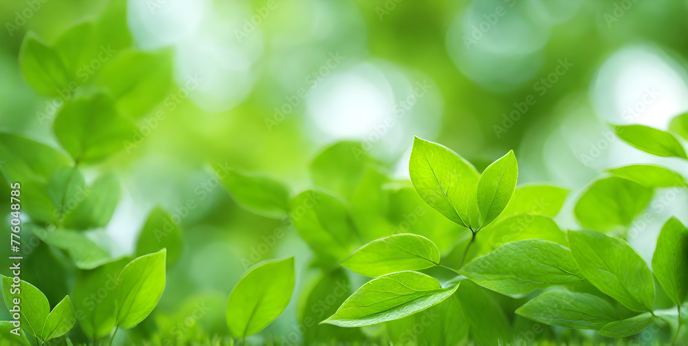 Abstract blur of lush greenery conveying the freshness of spring Abstract blur of lush greenery conveying the freshness of spring