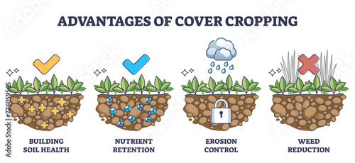 Cover crops cultivation or growing advantages for soil health outline diagram, transparent background. Labeled educational scheme with earth health, nutrient retention.
