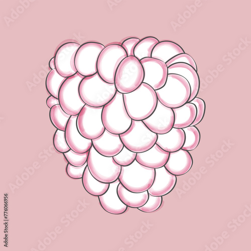 Black and white raspberry arranged on a soft pink background. The raspberries are plump and ripe, with a glossy sheen