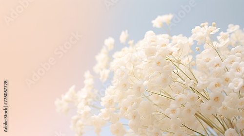 Delicate Blooms - Baby s Breath on Soft Beige.