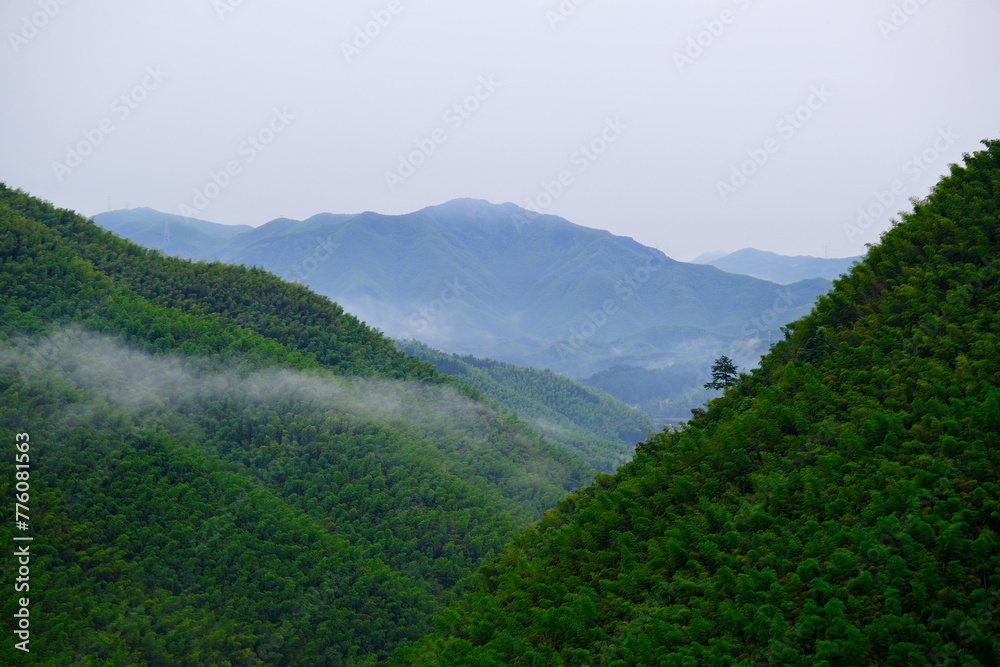 aerial green bamboos mountains. Landscape at Anji County,Huzhou,Zhejiang,China