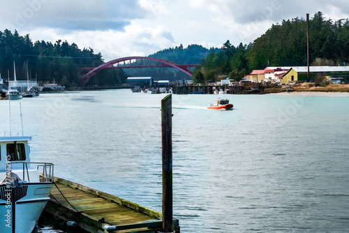 boats in the harbor