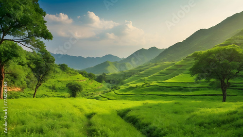 for advertisement and banner as Verdant Vistas Showcasing the lush greenery of untouched landscapes. in Fresh Landscape theme ,Full depth of field, high quality ,include copy space on left, No noise, 