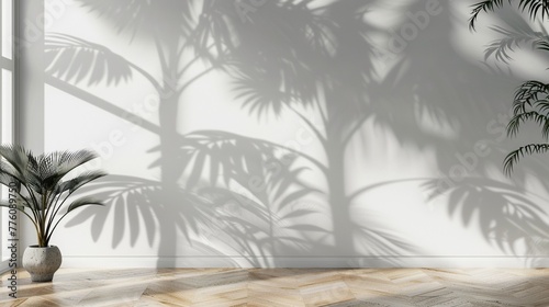 Clean and Clear White Wall with Shadow of Tropical Palm Botany Tree Leaf Pattern © Maximilien