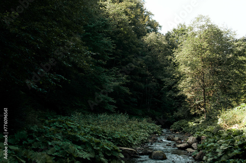 small Carpathians river from Ukraine © Valeria