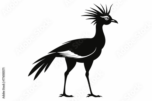 Simple secretary bird, silhouette black vector illustration