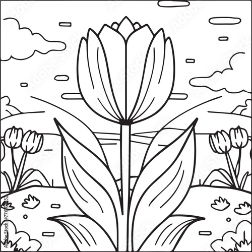 Tulip coloring pages. Tulip flower outline vector. Flowers coloring pages for coloring book