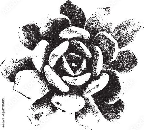 Succulent with a grainy photocopy effect. Grunge dotted element with stippling effect in a anti-design style. Vector illustration.	