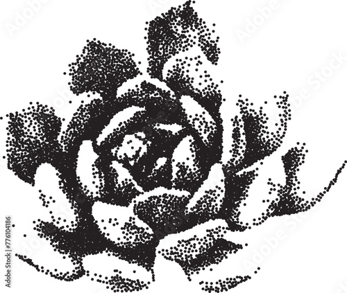 Succulent with a grainy photocopy effect. Grunge dotted element with stippling effect in a anti-design style. Vector illustration.	