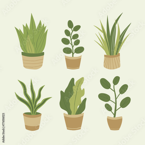 green plants in pots