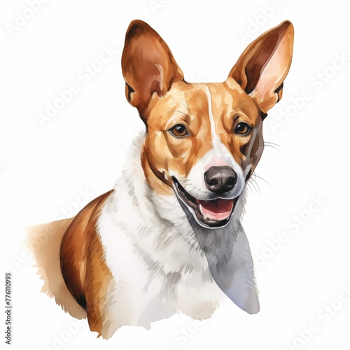 Basenji. African bush dog. African barkless dog clipart. Watercolor illustration. Generative AI. Detailed illustration. photo