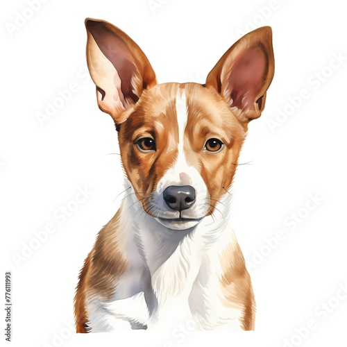 Basenji. African bush dog. Basenji dog clipart. Puppy clipart. Watercolor illustration. Generative AI. Detailed illustration. © Studicon