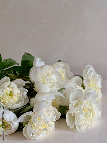 A bouquet of beautiful white peonies on a gray background, vertical photo. 