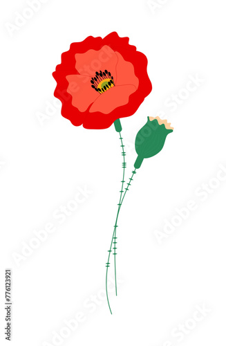 red poppy vector flower memorial day