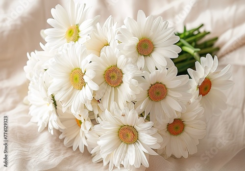 Fresh white daisies on rustic wooden background