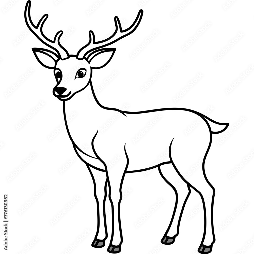 deer illustration