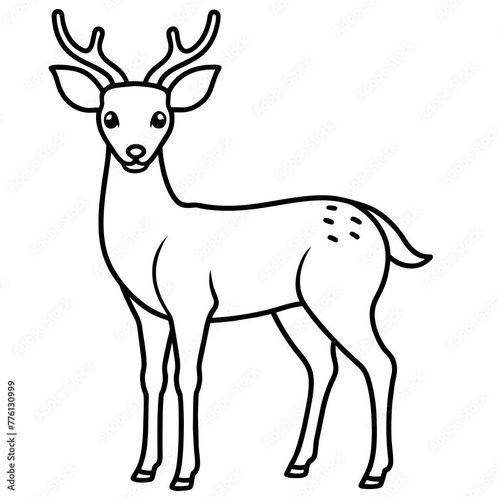 deer illustration