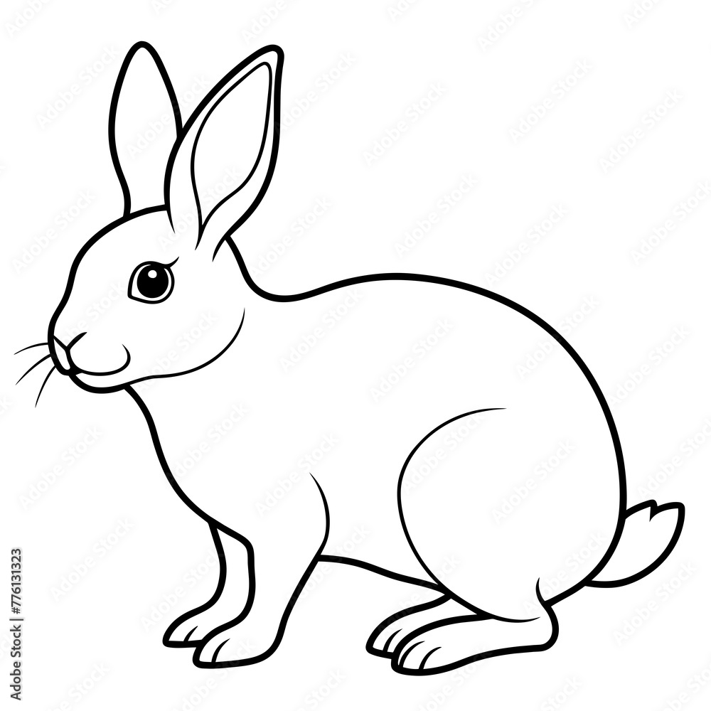 white rabbit isolated on white white rabbit isolated on white