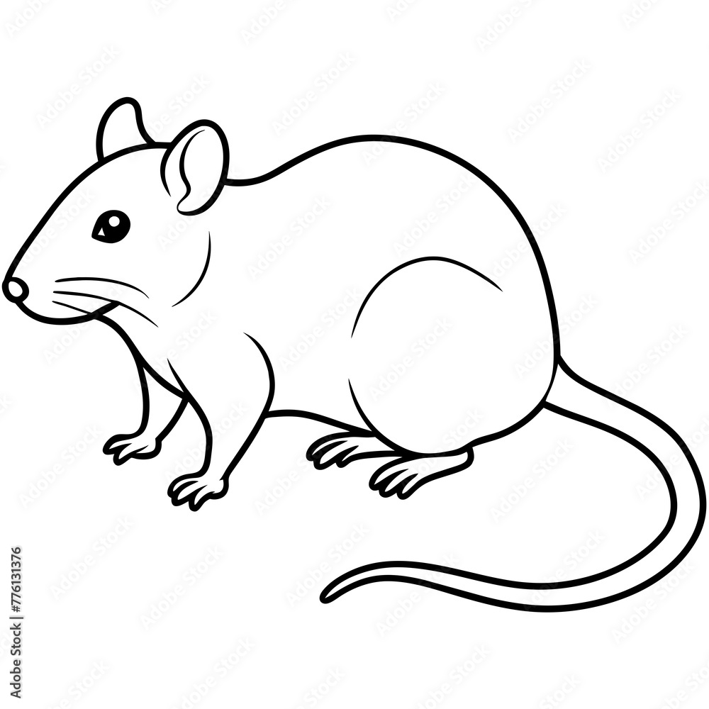 illustration of a mouse illustration of a mouse