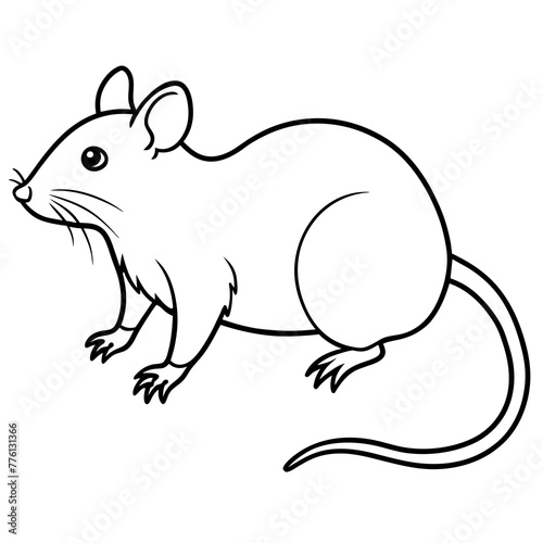 illustration of a rat