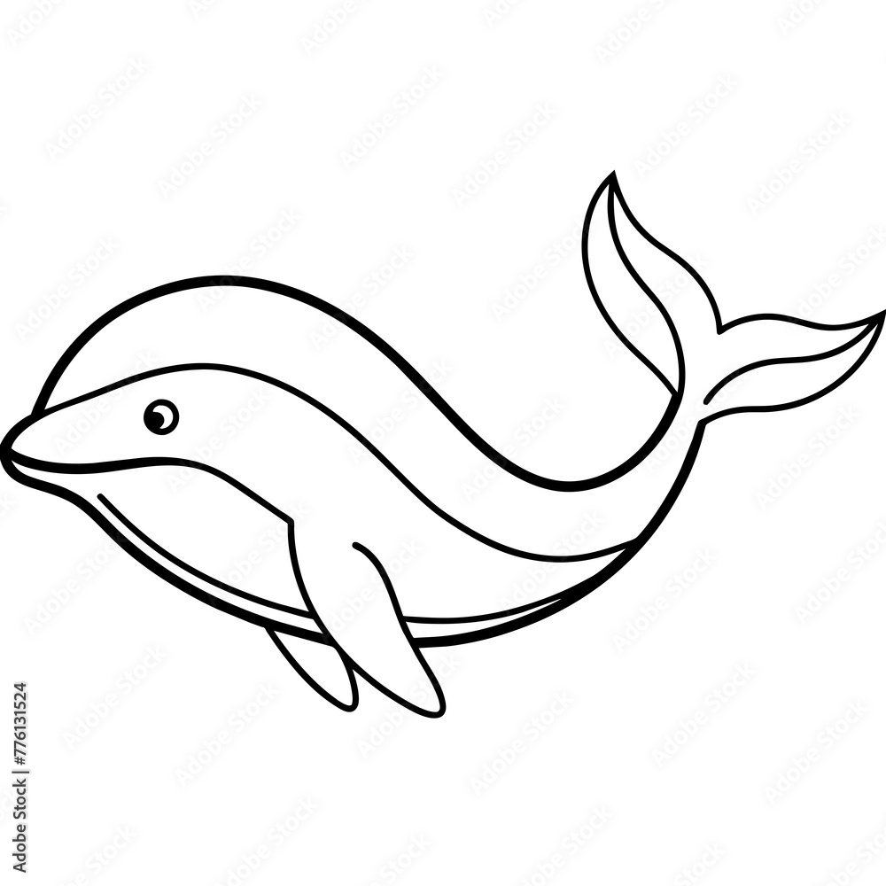 illustration of a dolphin illustration of a dolphin