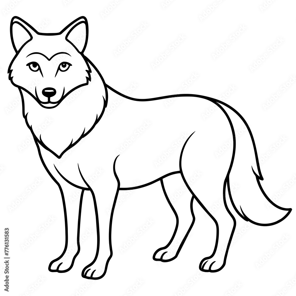 Fototapeta premium vector illustration of wolf