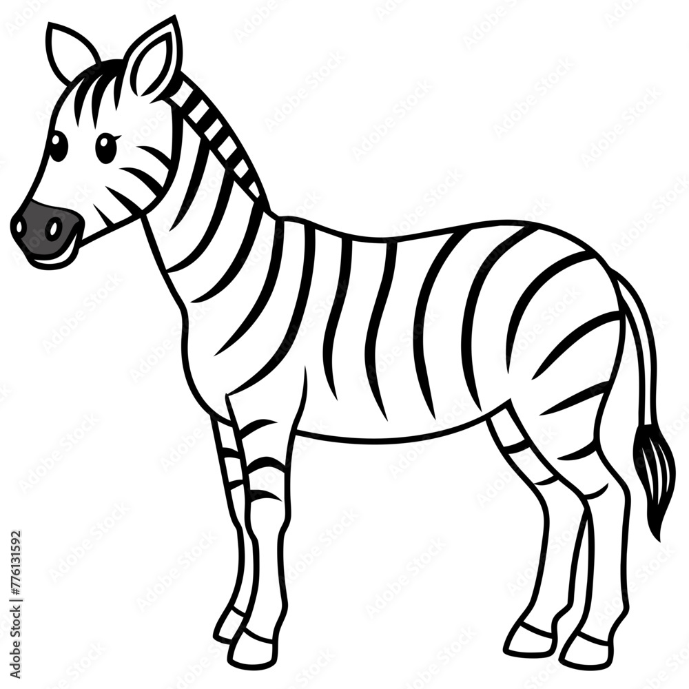 Fototapeta premium zebra vector illustration