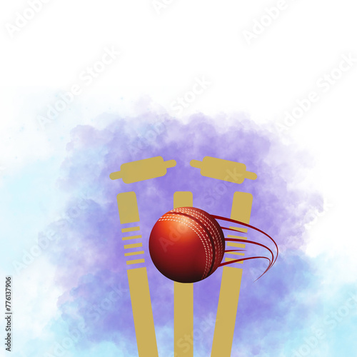 Cricket Illustration Logo  photo