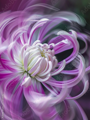 A macro photo of a beautiful turning energetically flower