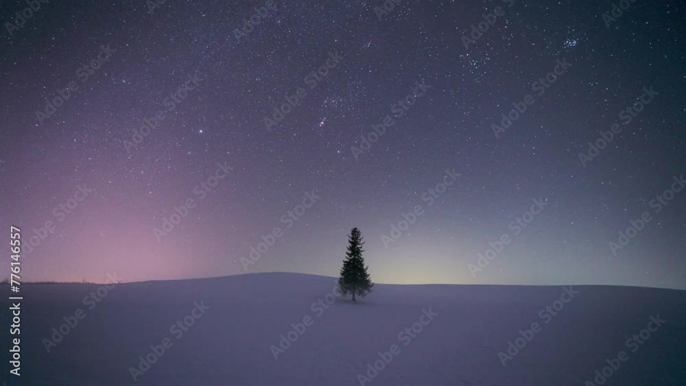冬のクリスマスツリーと星空 冬のクリスマスツリーと星空