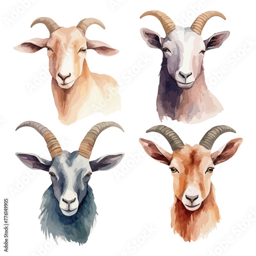 Fototapeta Naklejka Na Ścianę i Meble -  Watercolor drawing vector of goat collection, isolated on a white background, clipart image, Illustration painting, design art, goat vector, Graphic logo, drawing clipart. 