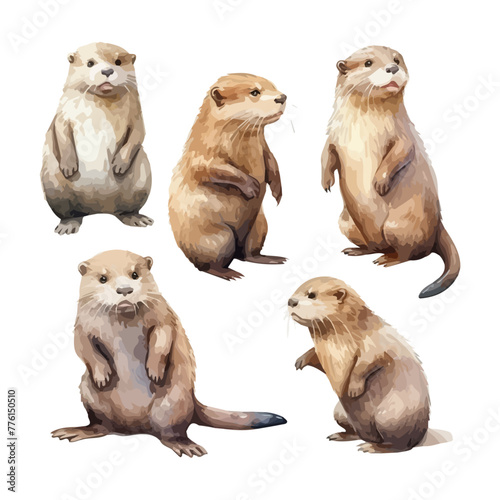 Watercolor painting of a otter, isolated on a white background, drawing clipart, Illustration Vector, Graphic Painting, design art, logo, otter vector  © mosio
