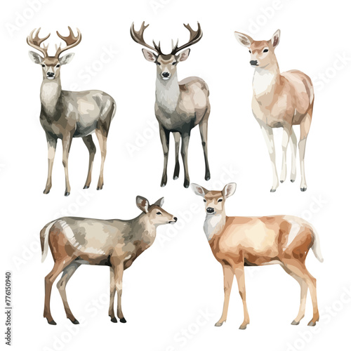 Watercolor clipart vector of set deer (Gazelle), isolated on a white background, deer vector, Illustration painting, Graphic logo, drawing design art