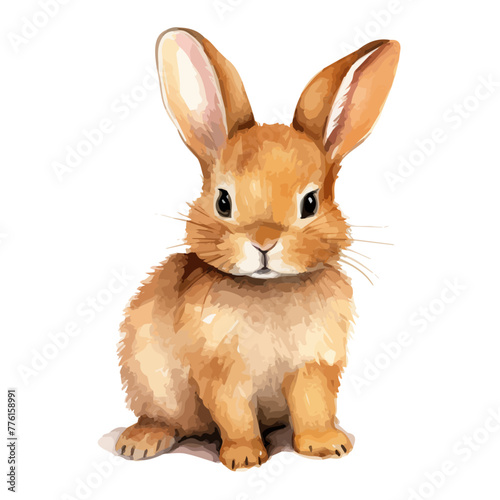 Watercolor painting vector of a rabbit, isolated on a white background, rabbit vector, clipart Illustration, Graphic logo, drawing design art, clipart image
