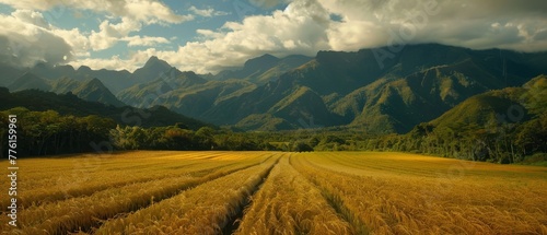   A field of wheat stretches before mountain ranges  cloud-dotted skies overhead  trees dotting the foreground