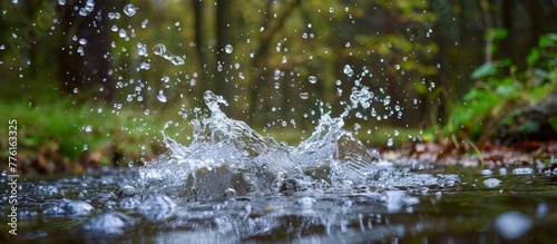 A splash of water in a forest stream