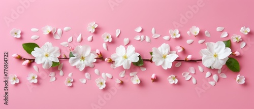  A pink background with white flowers and green leaves at the bottom, not the top