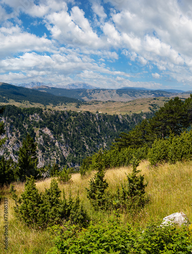 Summer Tara Canyon in mountain Durmitor National Park, Montenegro © wildman