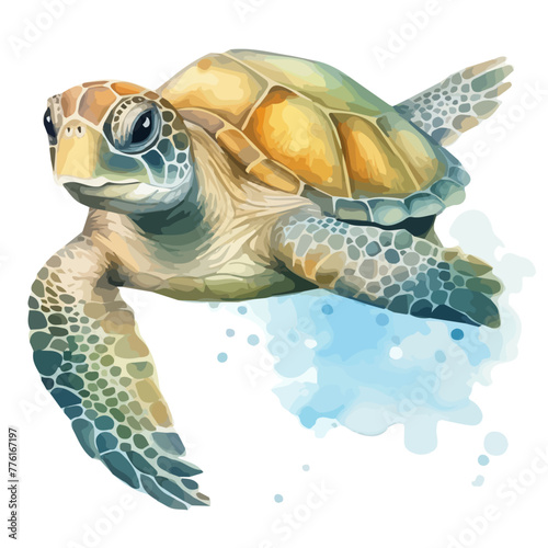 Watercolor clipart vector of a sea turtle, isolated on a white background, sea turtle vector, Illustration painting, Graphic logo, drawing design art