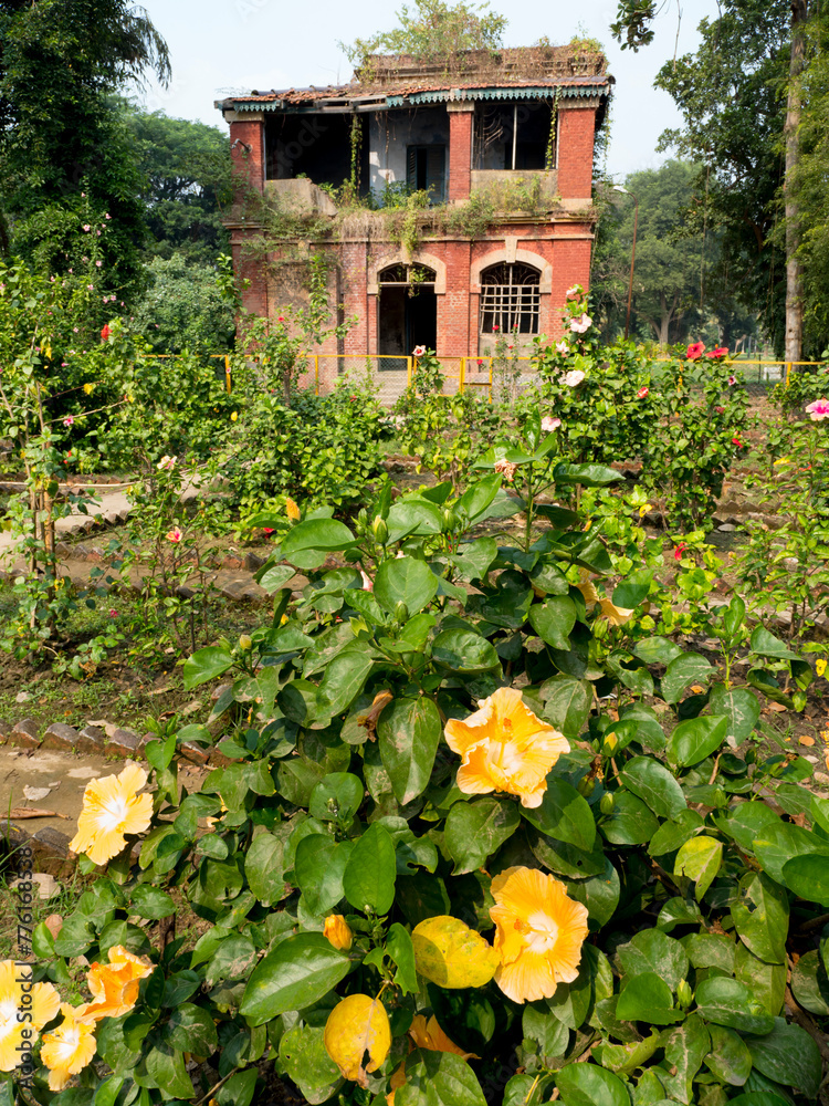 India, Kolkata, Botanical Gardens